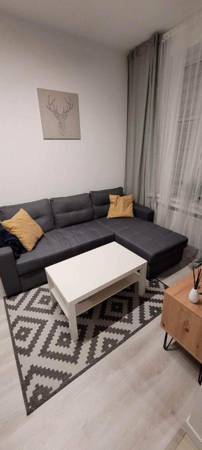 Stary Toruń Apartament Na Kochanowskiego المظهر الخارجي الصورة